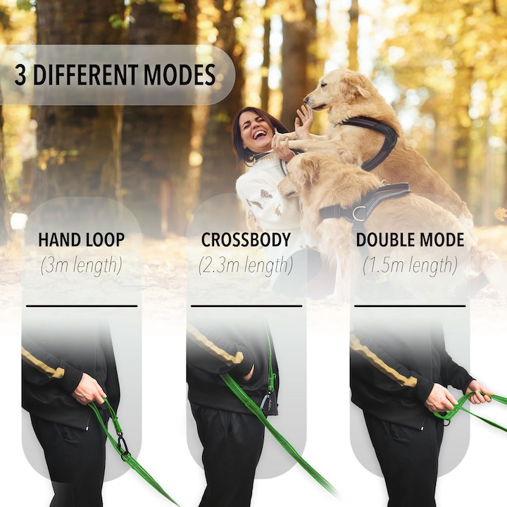 Immagine prodotto Bluzelle Linea doppia (XL, Cane, Passeggiare)