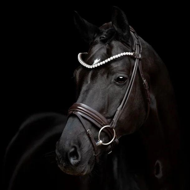 Image du produit SANDISK Sd Design Rolled Bridle Zhivago Brown