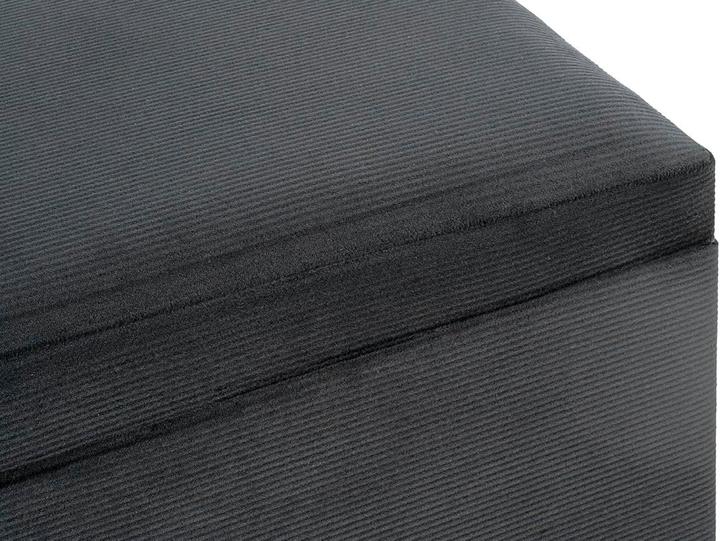 Image du produit HAKU Möbel Coffre-siège (58 cm)