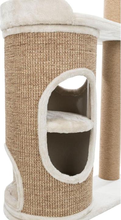 Immagine prodotto Trixie Albero per gatti Falco (117 cm, Marrone, Beige)