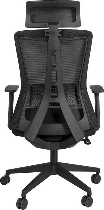 Produktbild Contini Ergonomic (47 - 53 cm)