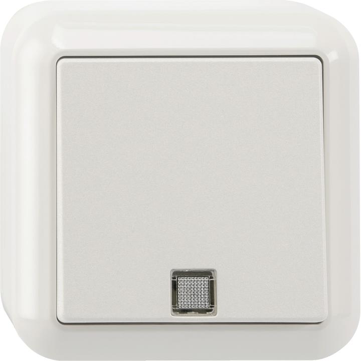 Actual product image Merten Rocker switch module ws 1W surface-mounted with cover MEG3160-8719