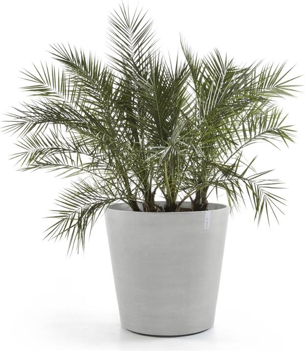 Produktbild Ecopots Amsterdam Rollen (60 cm)