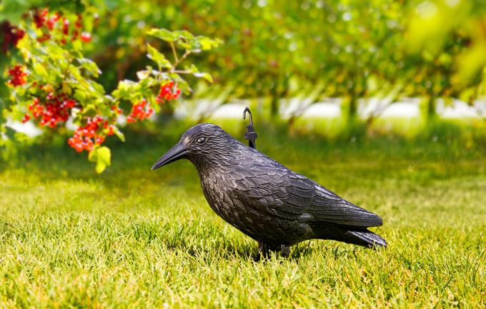 Produktbild Windhager Tierfigur Rabe