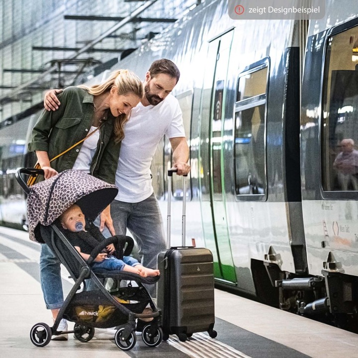 Produktbild Hauck Swift X Single Deluxe Canopy