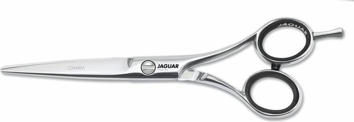 Image du produit Jaguar HS 36525 Charm (13.34 cm)
