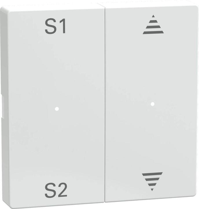 Produktbild Merten Wippen für Taster-Modul 2fach (Szene1/2, MEG5228-0325
