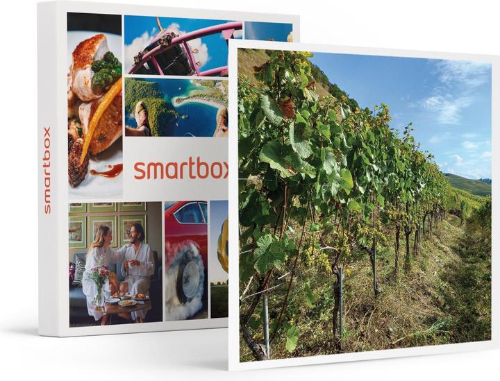 Actual product image Smartbox Wine tasting in a duo with a board to share and a walk through the vineyards near Sion (2 pers.)