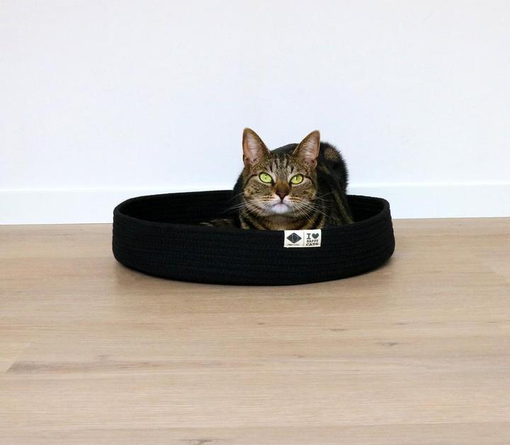 Actual product image D&D Panier pour chat JESS (Cat)