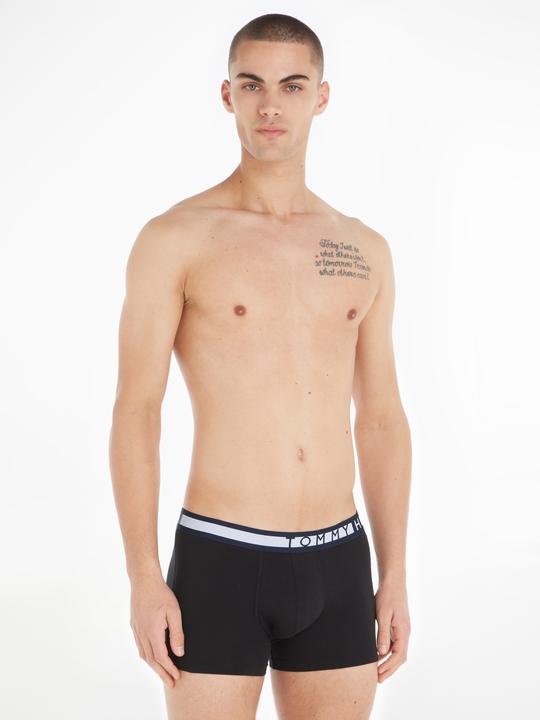 Image du produit Tommy Hilfiger Logo Trunk (M, Lot de 3)