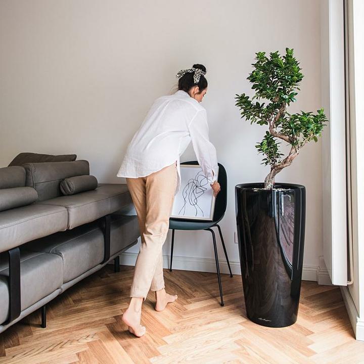 Immagine prodotto Lechuza Rondo (40 x 75 cm)