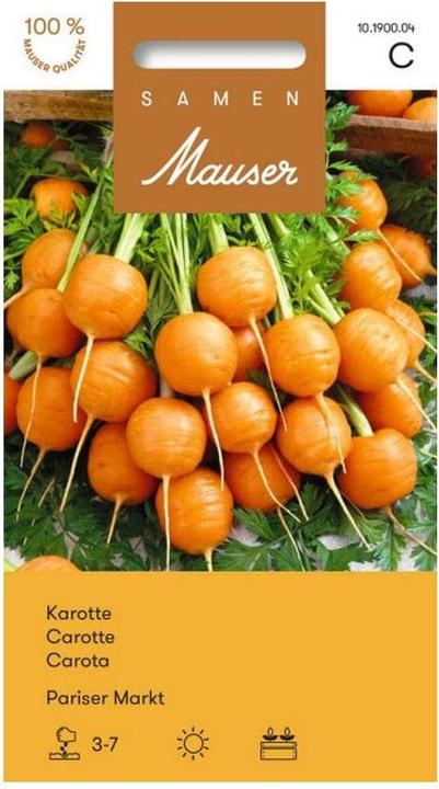 Produktbild Samen Mauser Karotte Pariser Markt (Gemüsesamen)