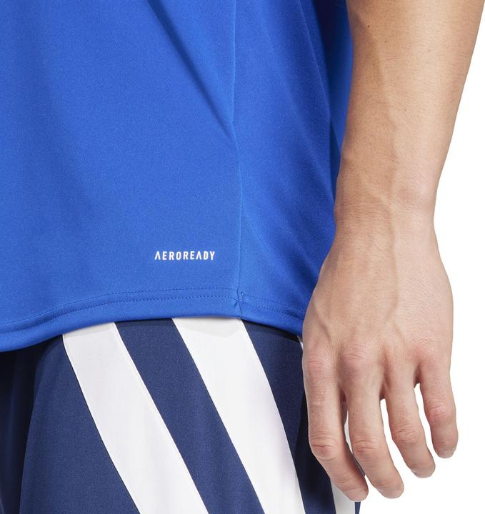 Produktbild adidas FORTORE23 JSY (S)