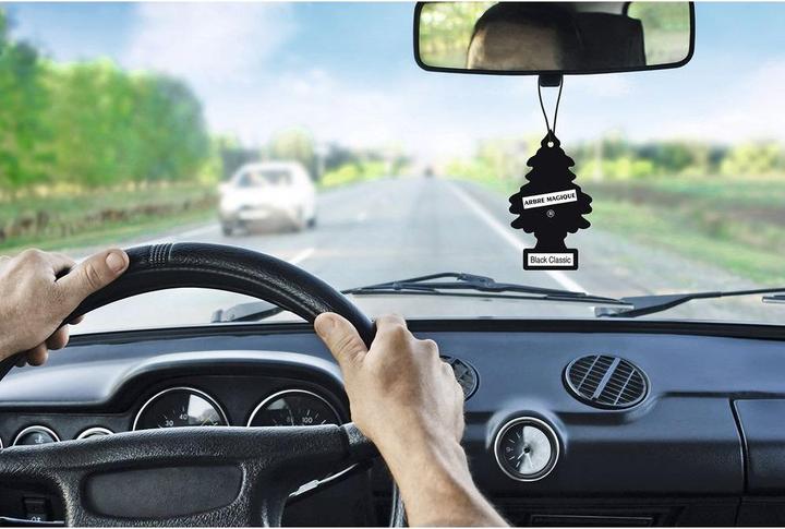 Actual product image Wunder-Baum Air freshener