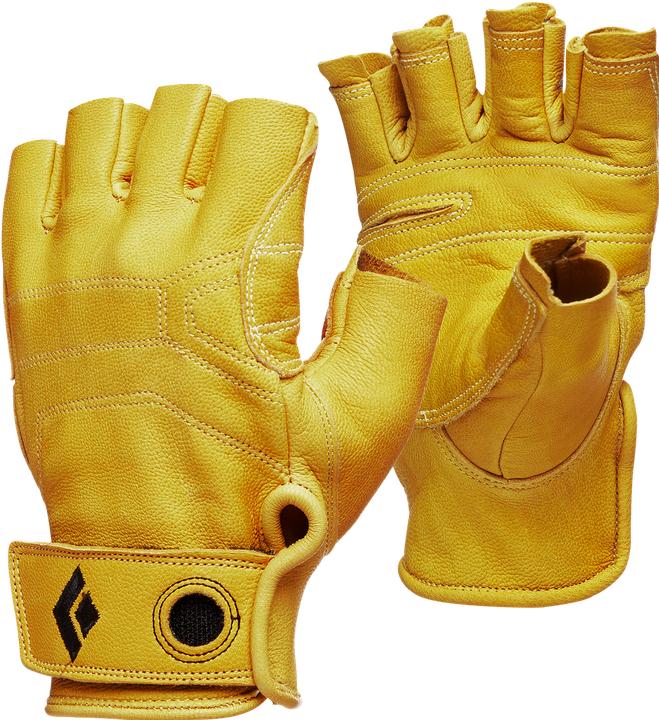 Actual product image Black Diamond Stone glove (L)