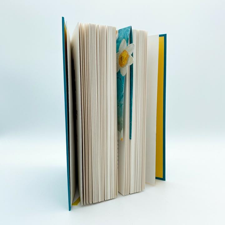 Actual product image It starts with us – Nur noch einmal und für immer (German, Anja Galić, Colleen Hoover., Katarina Ganslandt, 2022)