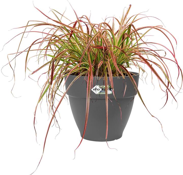 Actual product image Elho Vibia Campana (34.50 cm)