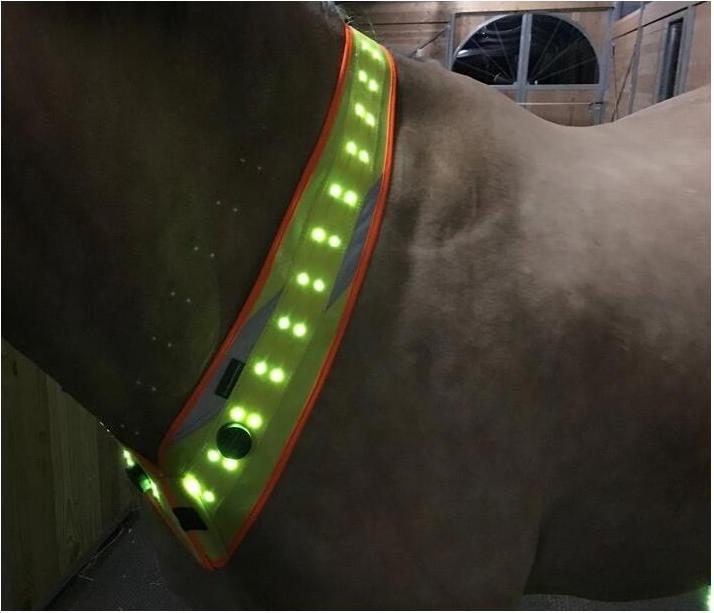 Produktbild Animal Light LED Leuchthalsriemen 20