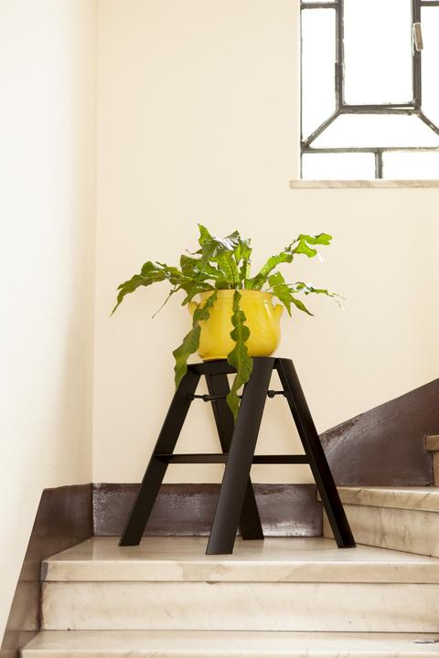 Produktbild Thomas Merlo & Partner Lucano 2 Step Klapptritt