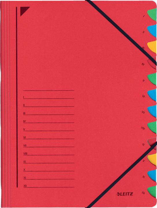 Produktbild Leitz Ordnungsmappe (A4, 1x)