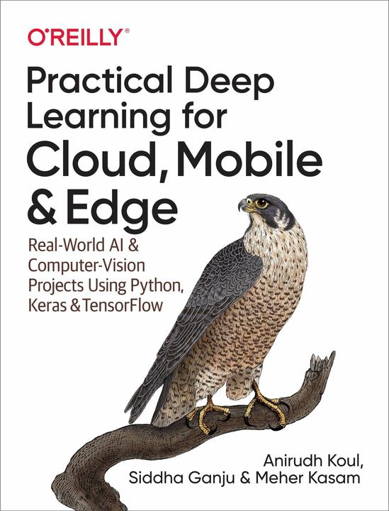 Practical Deep Learning for Cloud and Mobile (Englisch, Anirudh Koul, Meher Kasam, Siddha Ganju, 2019)