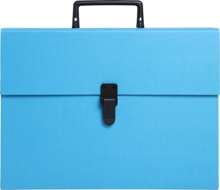 Produktbild Exacompta Fächermappen (A4, 32x)