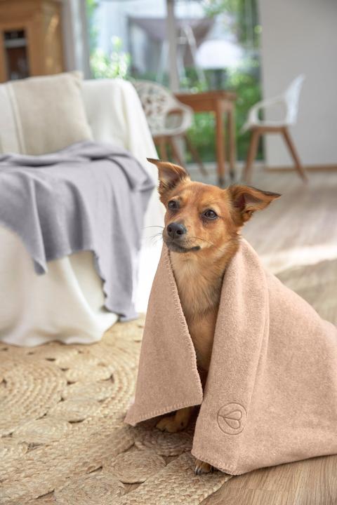 Produktbild Palopa Mathilda (Hund)