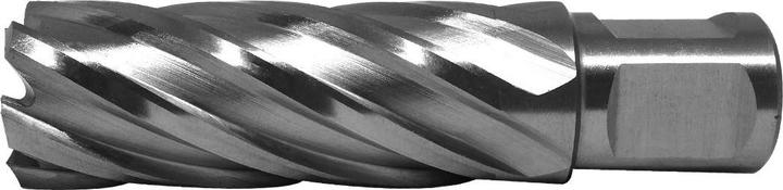 Actual product image Paulimot HSS-Kernbohrer mit Bohrtiefe 55 mm, Ø 21 mm (21 millimetres)