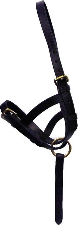 Immagine prodotto Hy Cavezza in pelle per puledri