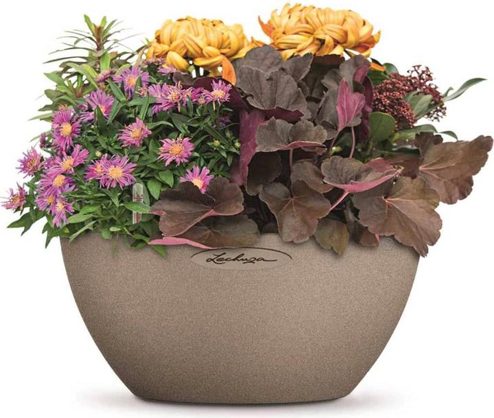 Actual product image Lechuza Cubeto Color (30 cm)