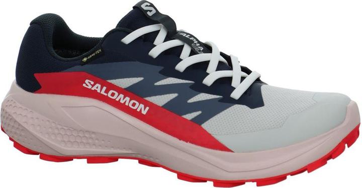 Produktbild Salomon Alphaglide GTX (40 2/3)