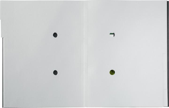 Actual product image Leitz Folder (A4, 1 x)