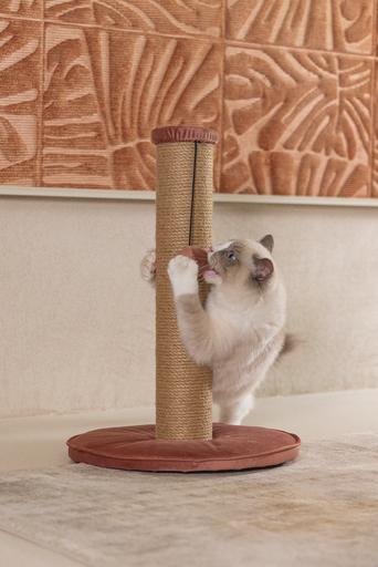 Actual product image Designed by Lotte Yenna (50 cm, Rose)