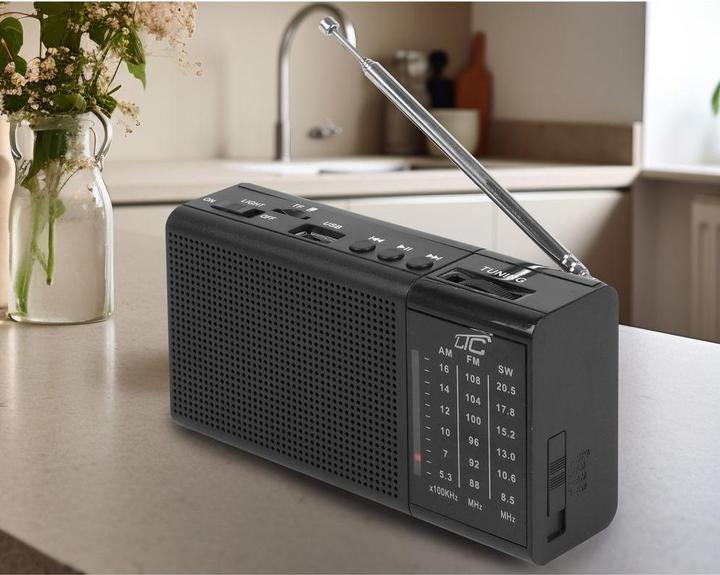 Actual product image LTC Radio Rega (AM, FM)