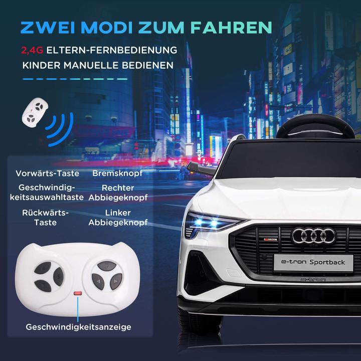 Image du produit Jamb Audi e-tron (12 V)
