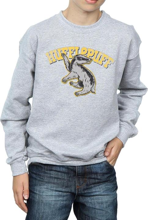 Image du produit - Sweat HUFFLEPUFF SPORT EMBLEM - Garçon (128)