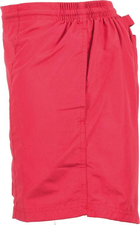 Actual product image Tombo Womens/Ladies All Purpose Shorts (M)