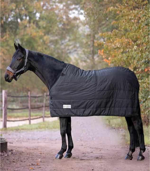 Waldhausen Horse thermal underblanket 200g black 115 cm (115 cm)