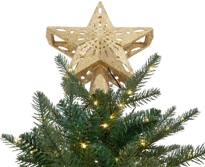 Image du produit Infactory Pointe de l'étoile de Noël à LED avec projecteur