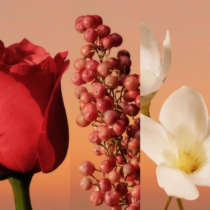 Immagine prodotto Calvin Klein Eau de Parfum Intense (Eau de parfum, 30 ml)