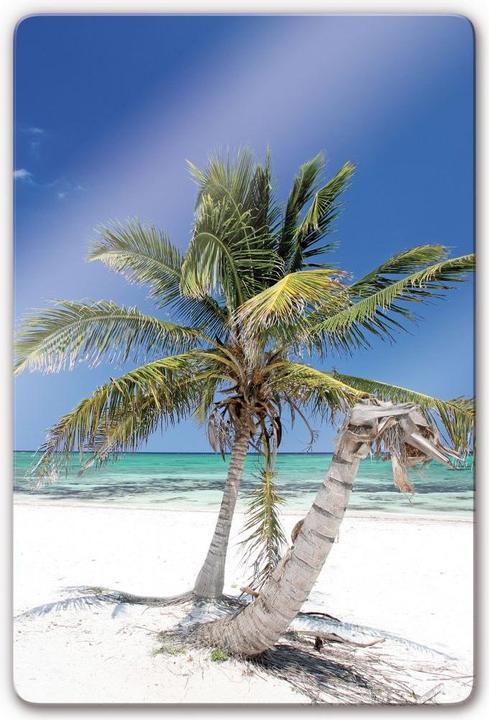 Immagine prodotto Trenddeko palmo (40 x 60 cm)