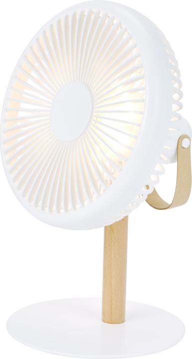 Produktbild Gingko Beyond