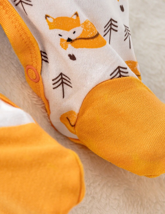 Image du produit Baby Sweets 2 parties Fox Little Fox (74)
