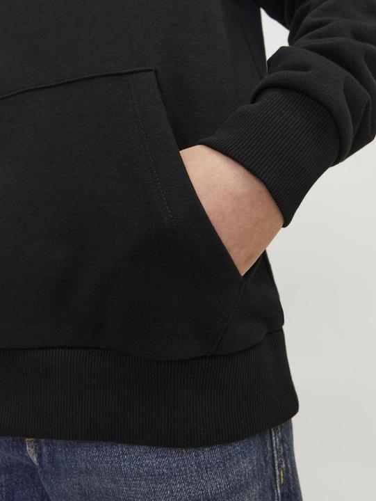 Produktbild Jack & Jones Jjecaleb Varsity Sweat Hood Noos Jnr (128)