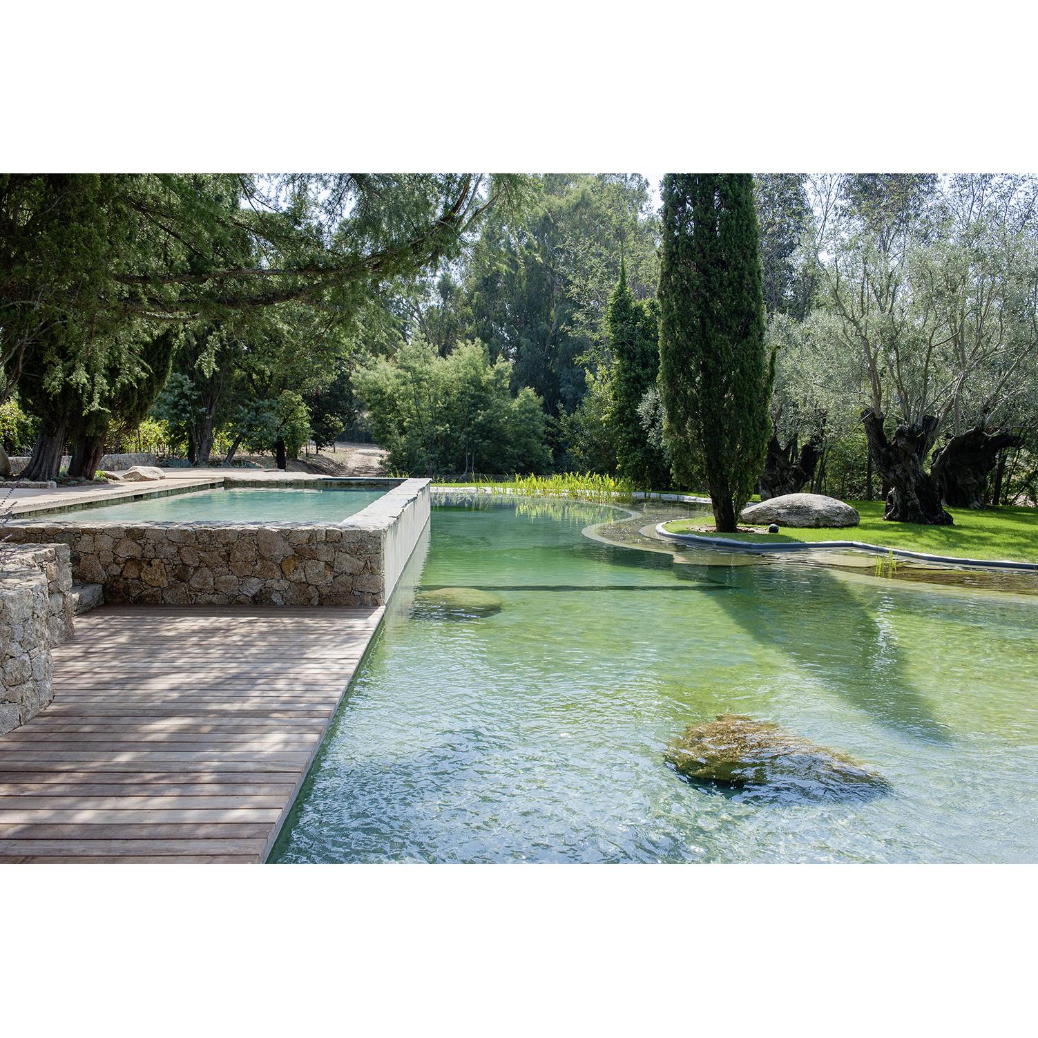 Thumbnail - Wasser im Garten 2, Ratgeber von Jörg Baumhauer