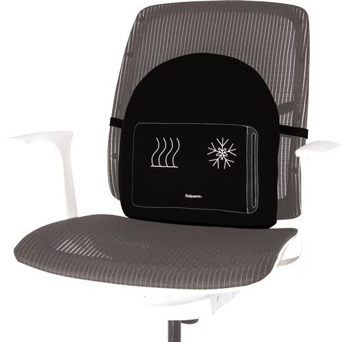 Actual product image Fellowes Back support Professonal Series