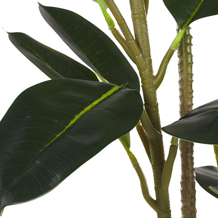 Immagine prodotto Beliani Ficus Elastica (134 cm)