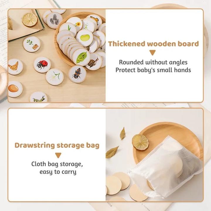 Immagine prodotto Activity Board Giocattolo di legno per neonati Animale del ciclo di vita Cognition Tavola di legno Giocattolo per