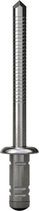 Image du produit Gesipa GBulb acier/acier 6,4 x 25, 150 pcs.