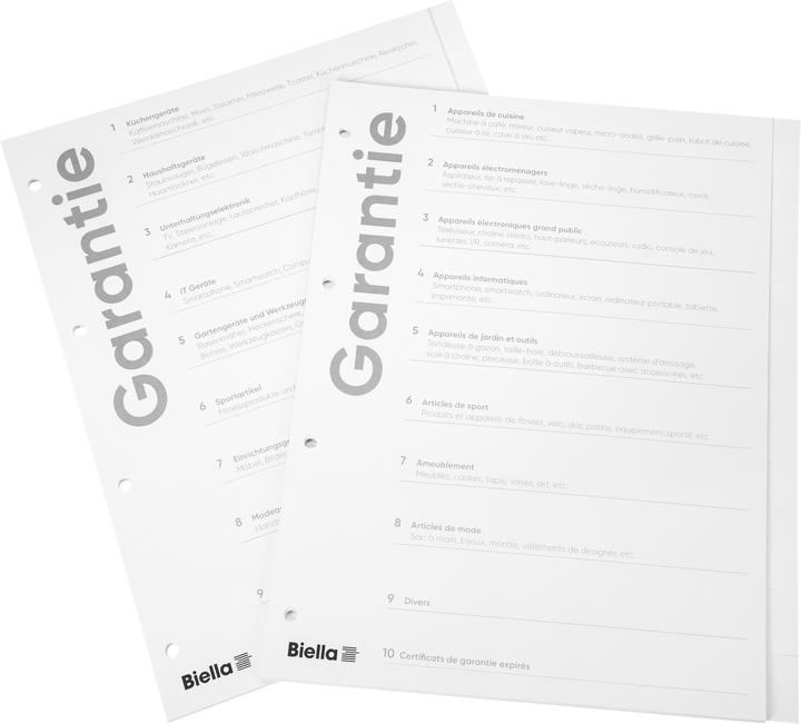 Image du produit Biella Intercalaire en carton Expert A4